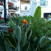 2012-09-14 18-39-48 2